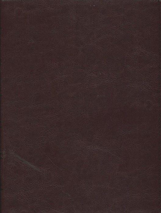 Santa Biblia Ntv, Edición Clásica (Spanish) Imitation Leather, Red Wine