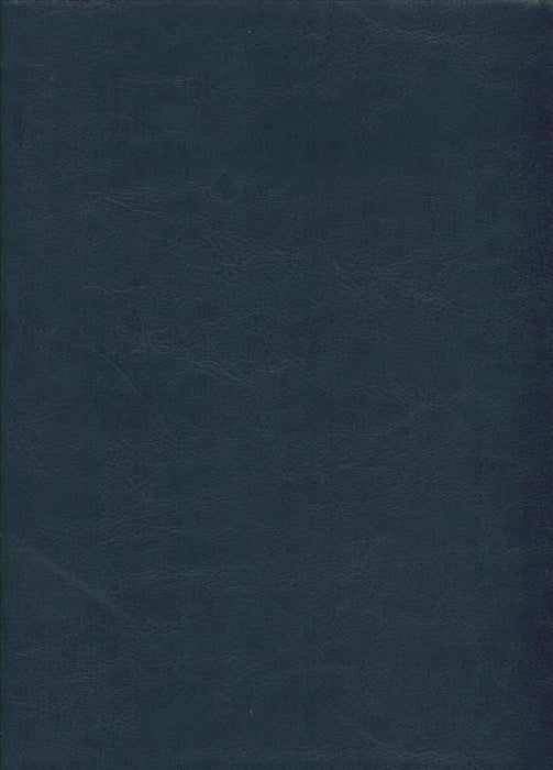 Santa Biblia Ntv, Edición Clásica (Spanish) Imitation Leather, Blue