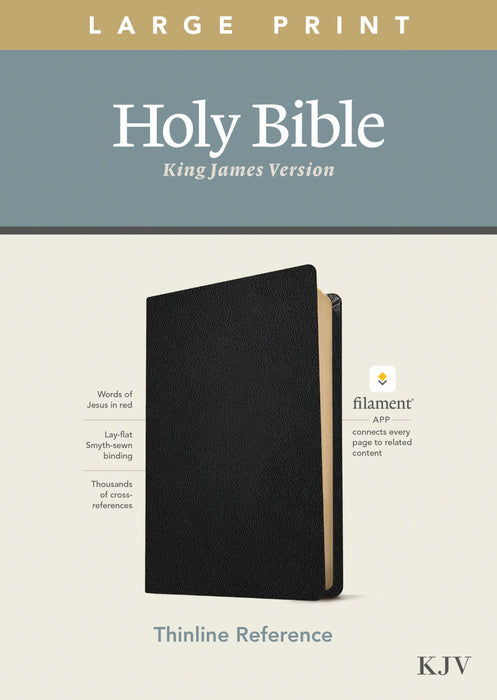 KJV Large Print Thinline Reference Bible, Filament Edition