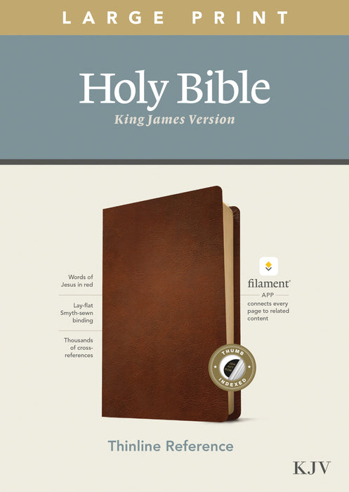 KJV Large Print Thinline Reference Bible, Filament Enabled E