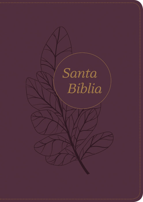 Santa Biblia RVR60, Edición de referencia ultrafina, letra g, Plum