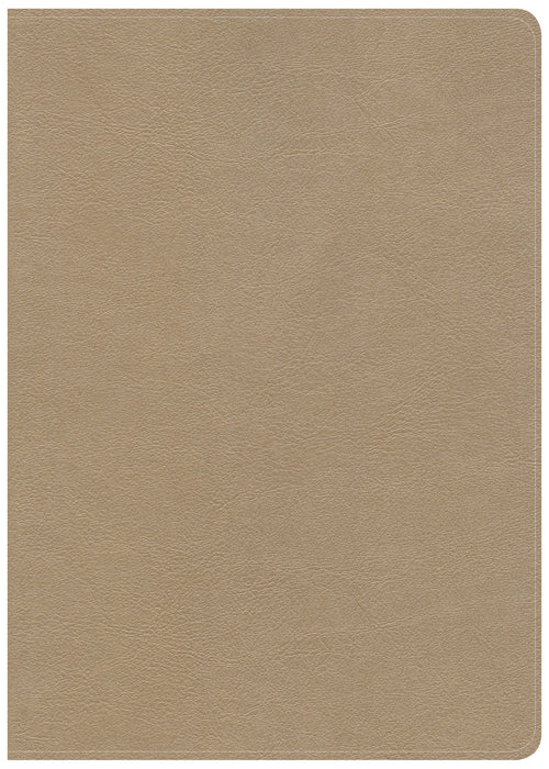 CSB She Reads Truth Bible, Champagne LeatherTouch