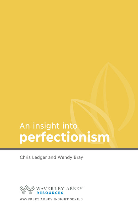 Insight Into Perfectionism